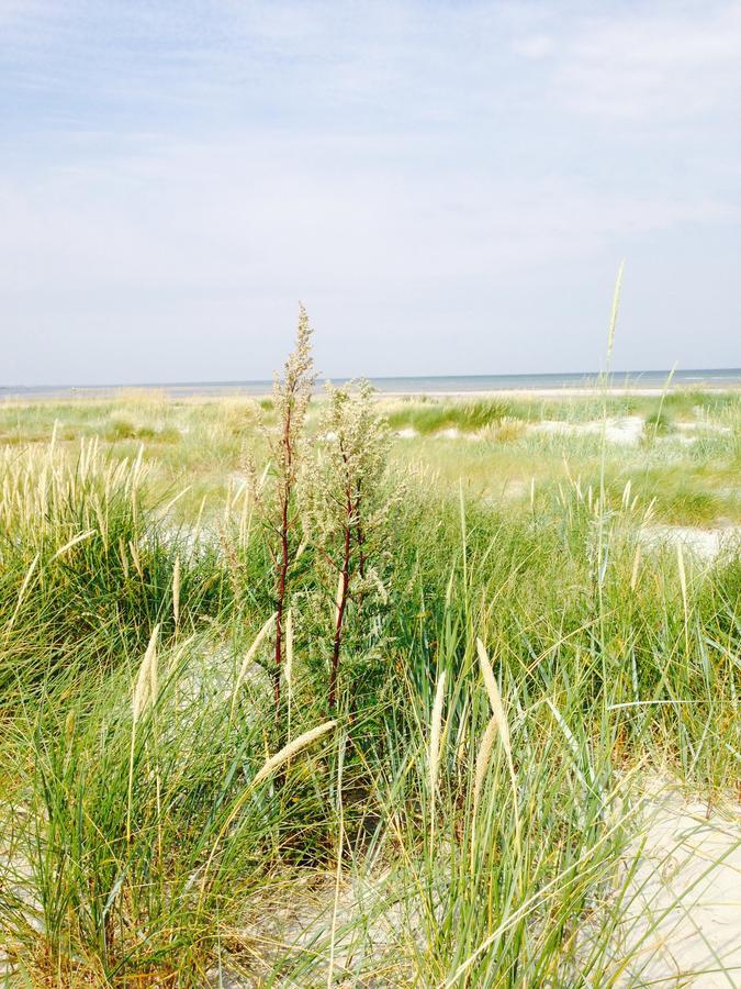 Bønnerup Strand Molino B&B 외부 사진