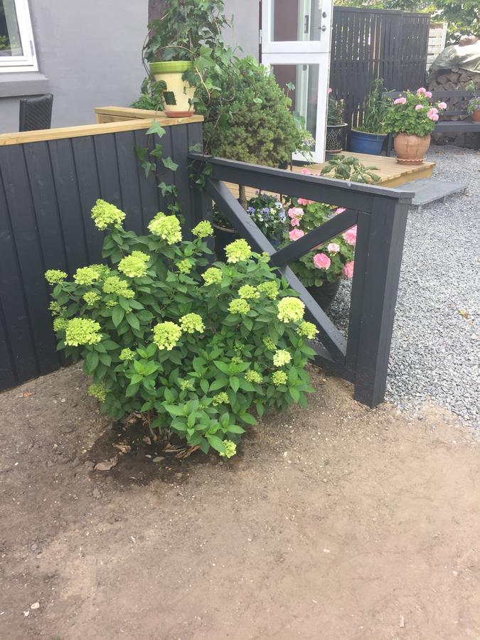 Bønnerup Strand Molino B&B 외부 사진