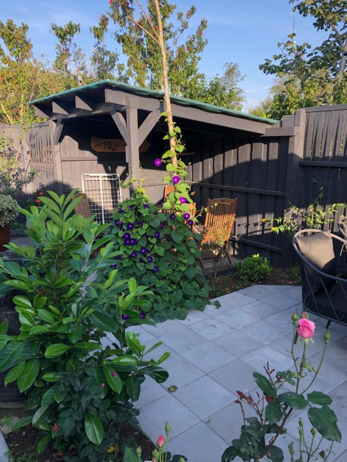 Bønnerup Strand Molino B&B 외부 사진