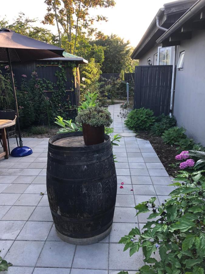 Bønnerup Strand Molino B&B 외부 사진